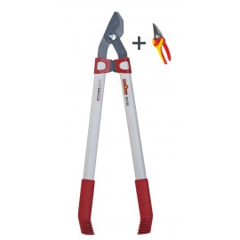 COUPE - BRANCHE RR630