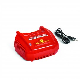 CHARGEUR POUR 72V LI-ION POWER OUTILLAGE JARDIN